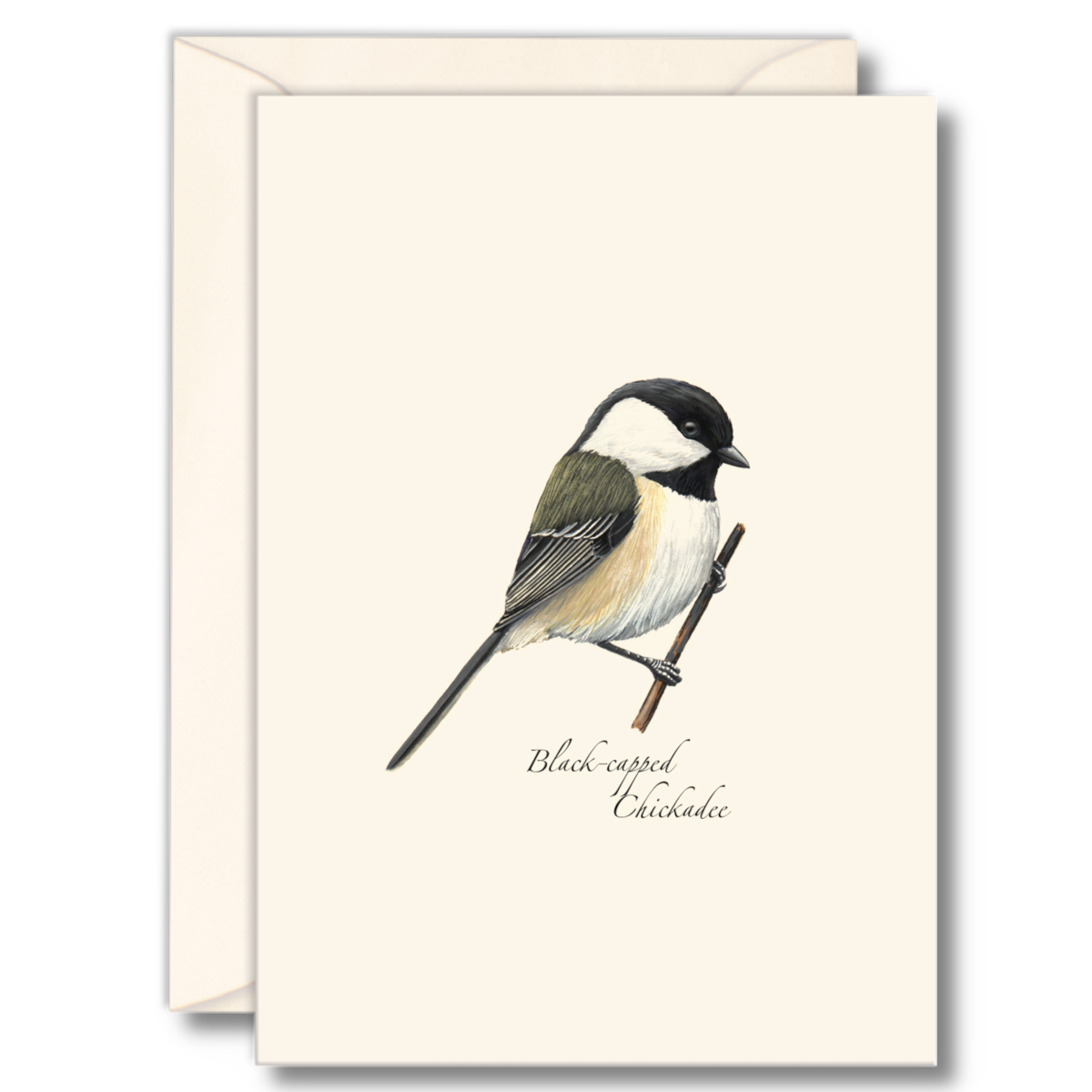 Black-Capped Chickadee Boxed Note Cards