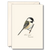 Black-Capped Chickadee Boxed Note Cards