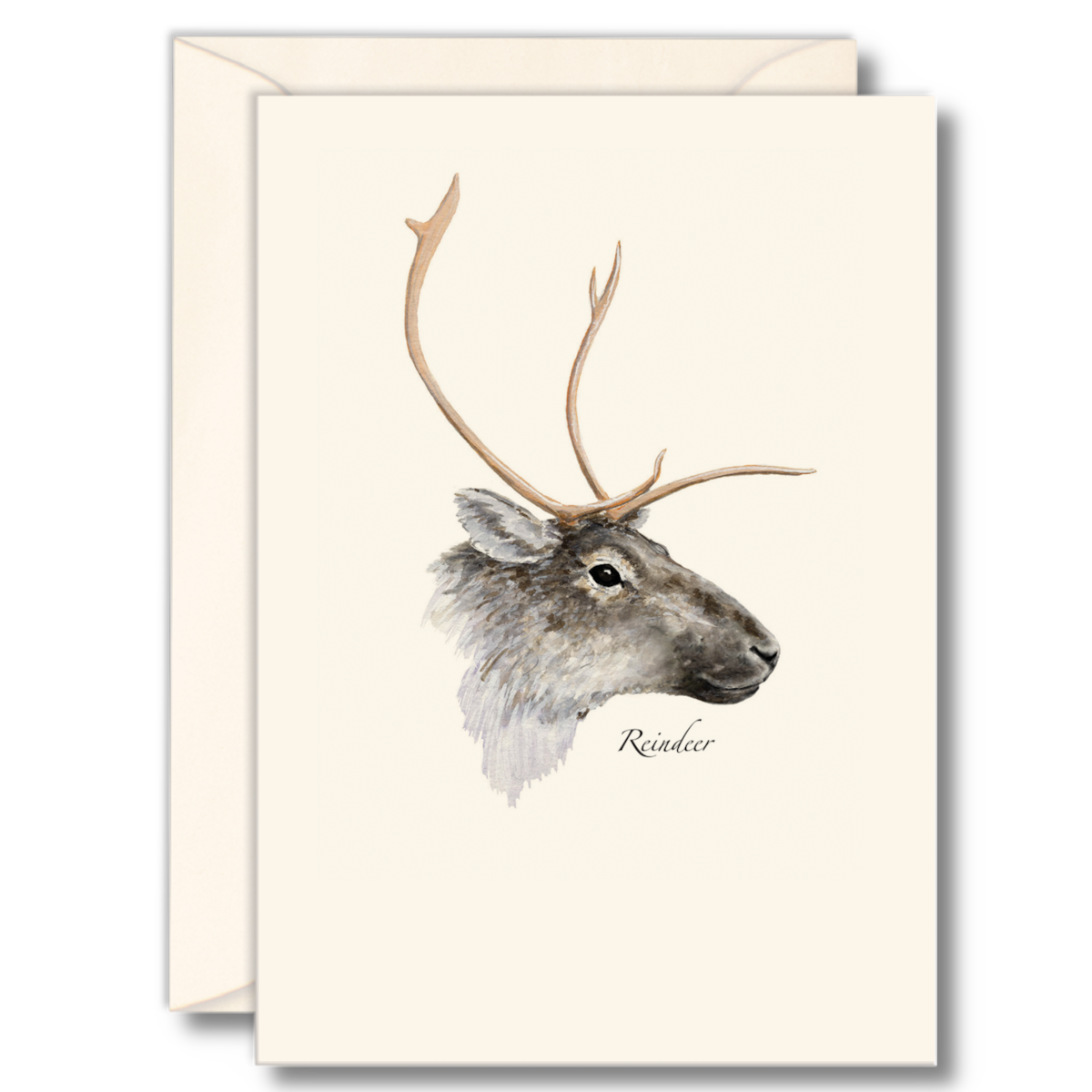 Reindeer Boxed Note Cards
