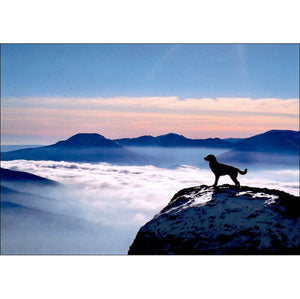 Dog on Mountain - Pet Sympathy Card