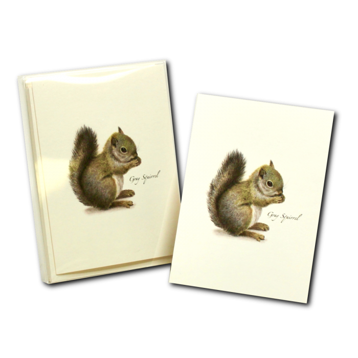 Gray Squirrel Boxed Blank Note Cards