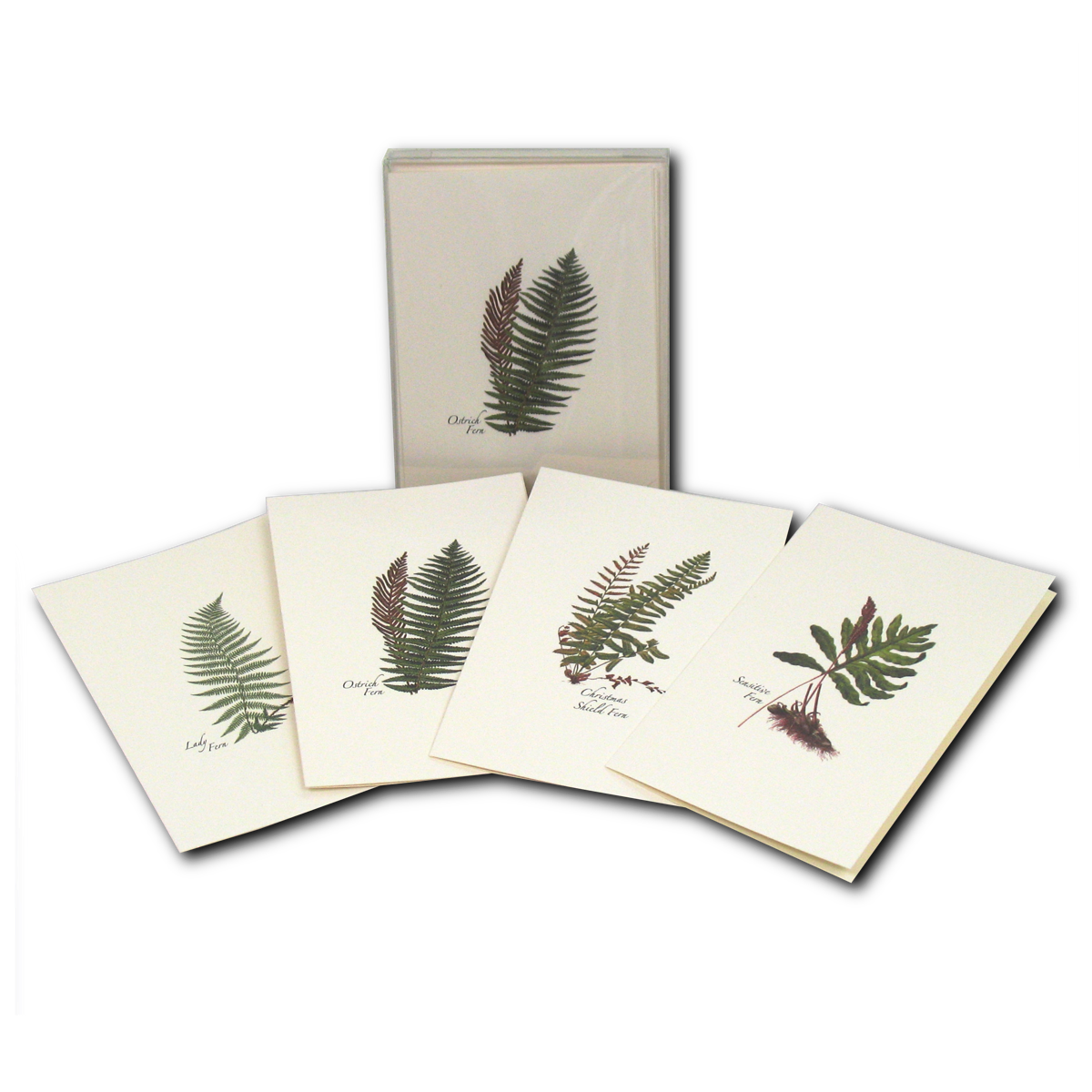 Spritz Blank Note Cards - D3 Surplus Outlet